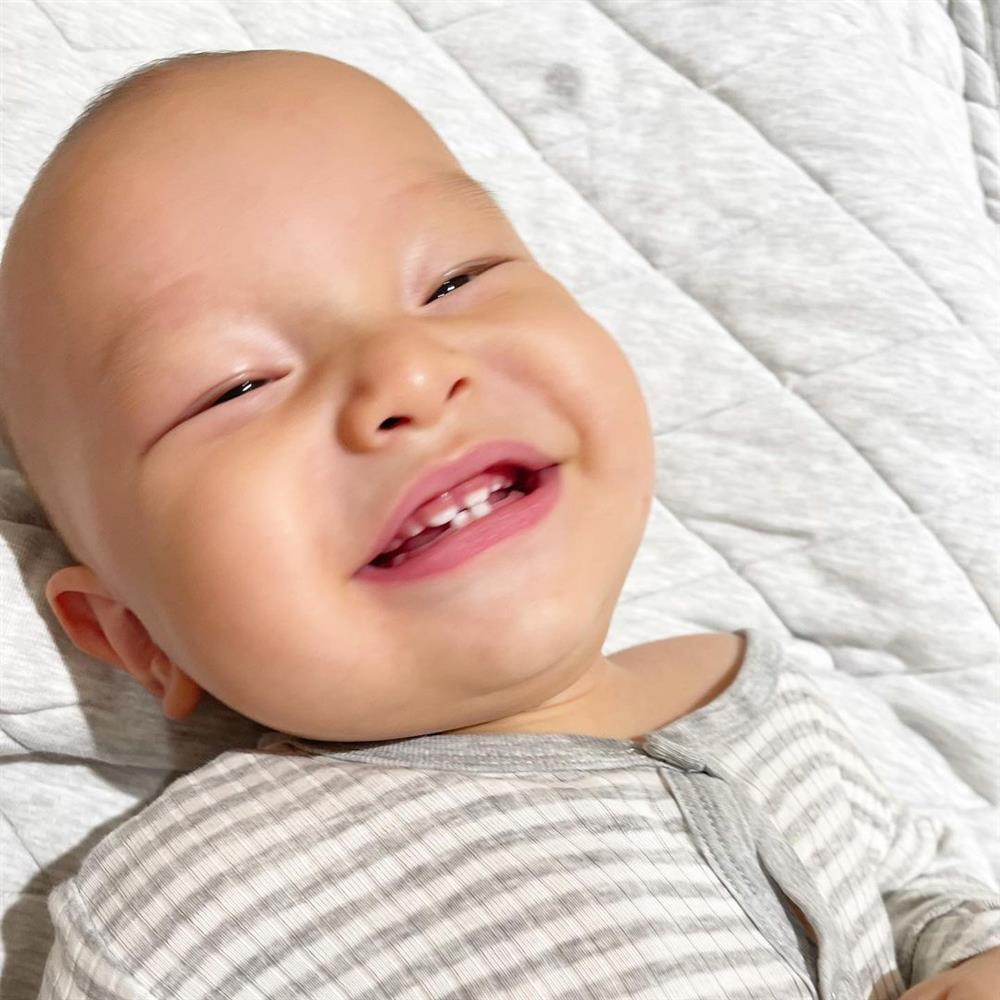 Lisa nhà Hà Hồ bị cướp trong đêm, nhìn thủ phạm netizen cười bò-7