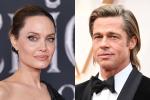 Jolie bán nửa tài sản chung với Brad Pitt-3