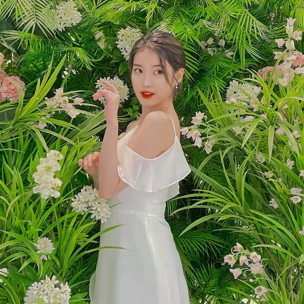 Tử vi thứ Sáu 3/9/2021 của 12 con giáp: Tỵ bị đe dọa túi tiền-4