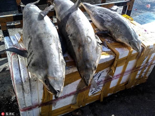 Tắt cơn đói với loạt đặc sản gây sửng sốt của người châu Âu-5