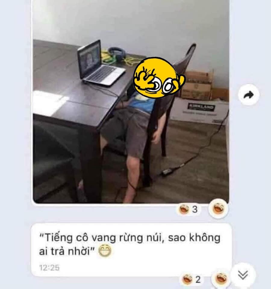 Cười ra nước mắt với trẻ lớp 1 học online mùa Cô Vy-3