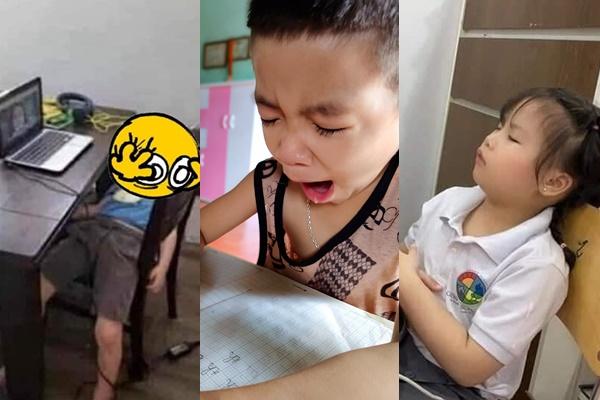 Học online quên tắt mic, sinh viên nói năng tục tĩu chửi giảng viên-1