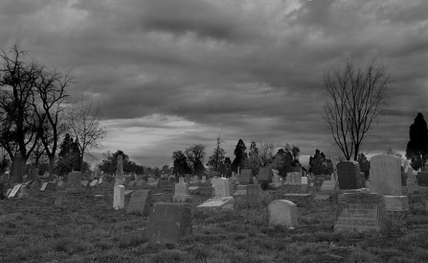 KỲ ÁN: Giám đốc Bệnh viện Nhi T.Ư mưu sát vợ chấn động dư luận (P1)-1