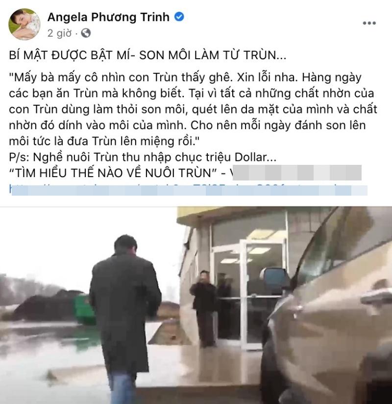 Angela Phương Trinh gây sốc với thông tin son môi làm từ trùn-3