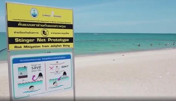 Đi tắm biển với bố mẹ, cậu bé 9 tuổi tử vong vì bị sứa cắn ở Thái Lan-1