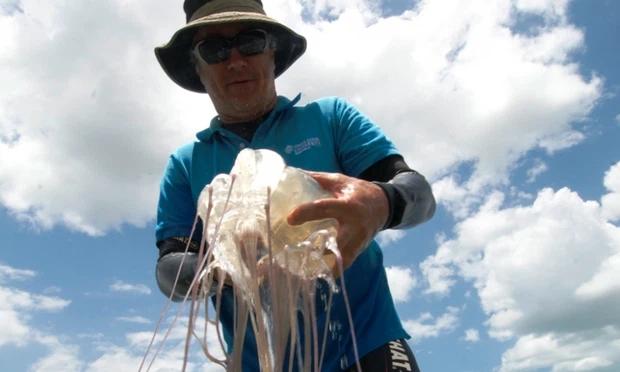 Đi tắm biển với bố mẹ, cậu bé 9 tuổi tử vong vì bị sứa cắn ở Thái Lan-5