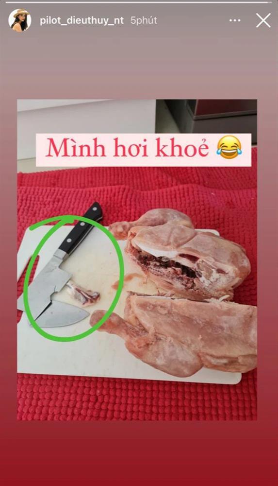 Phi công Diệu Thúy nấu ăn mà gãy đôi cả con dao-2