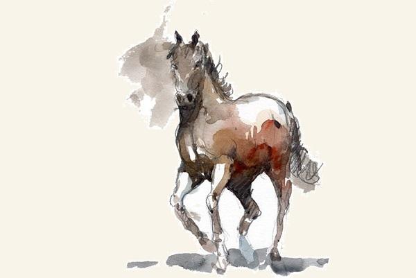 Con giáp nào mang đến may mắn cho người tuổi Mùi?-1