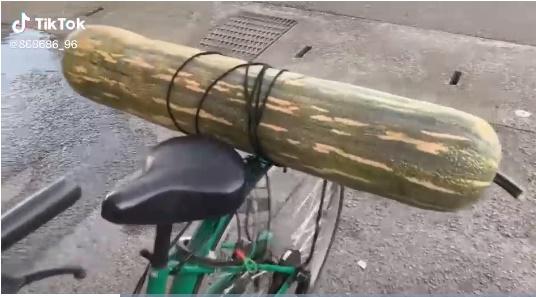 Hú hồn khi thấy chàng trai chở thứ nhìn như quả bom sau xe đạp-1