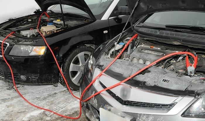 Rùng mình xế yêu cả tháng không dùng tới bị chuột làm tổ-6