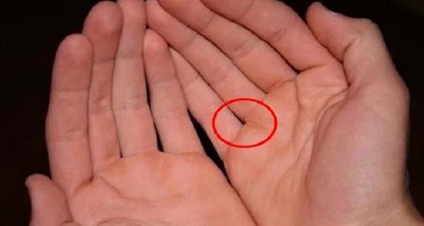 Chỉ 1s nhìn kẽ hở ngón tay biết ngay bạn giàu sang hay mãi bần hàn-2