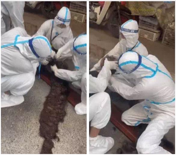 Cụ ông mắc Covid-19 có mái tóc kỳ dị, cắt để nhập viện cũng mệt-2