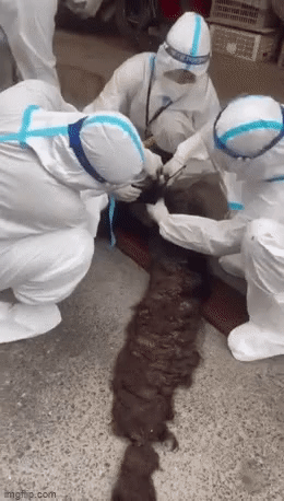 Cụ ông mắc Covid-19 có mái tóc kỳ dị, cắt để nhập viện cũng mệt-3