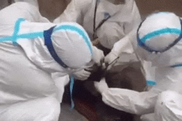 Cụ ông mắc Covid-19 có mái tóc kỳ dị, cắt để nhập viện cũng mệt-1