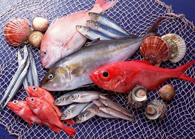 4 loại cá nên hạn chế, loại thứ 3 nhiều người thường xuyên ăn-1