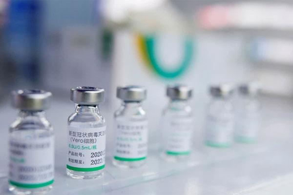 Hải Phòng cảm ơn TP.HCM về 500.000 liều vắc xin Sinopharm-1