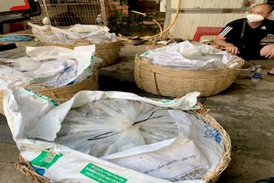 Giấu 99 kg ma túy trong giỏ tre chứa mắm cá, đi xe 'luồng xanh'