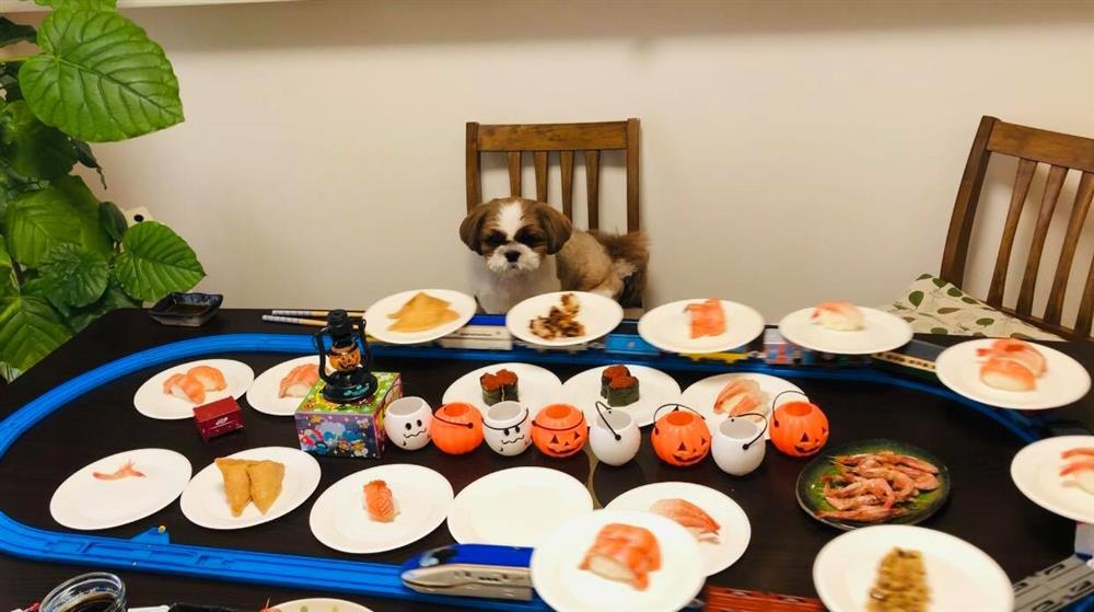 Xơi sushi băng chuyền tại nhà chỉ nhờ món đồ chơi nhỏ-4