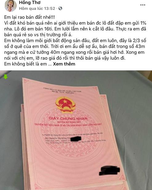 Đại gia đất Thơ Nguyễn: Sương sương chục sổ đỏ, rao đất 16 tỷ-1