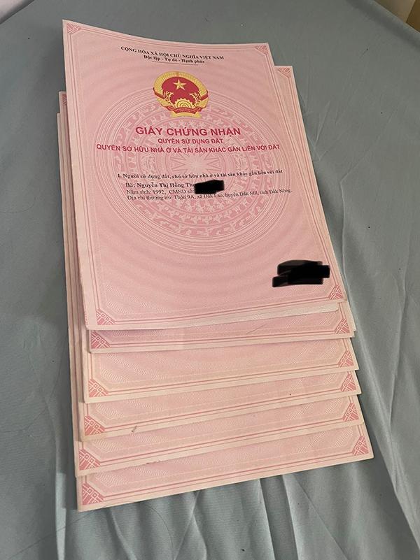 Đại gia đất Thơ Nguyễn: Sương sương chục sổ đỏ, rao đất 16 tỷ-2