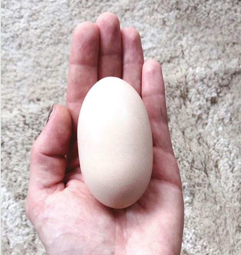 Nếu trứng có dấu hiệu này, dù giá rẻ như bèo cũng đừng dại ăn!-6