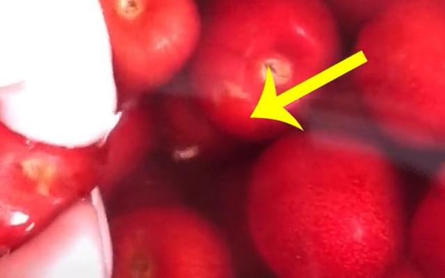 Cận cảnh những con giòi lúc nhúc bên trong loại quả nhà giàu-1