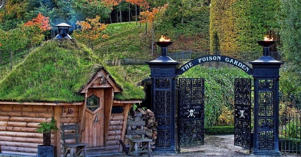 Khu vườn cực độc, cây có thể gây chết người hoặc hôn mê-4