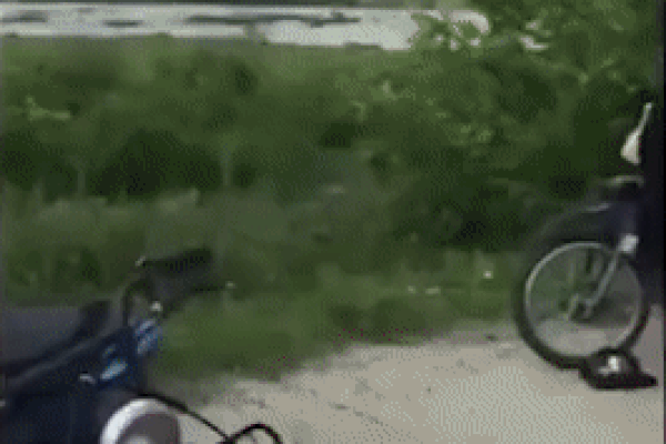 Clip: Nhóm nữ sinh 'hỗn chiến' náo động cả bờ đê Ninh Bình