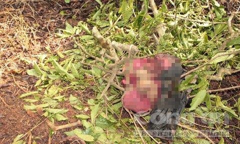 Bí ẩn xác chết cô gái trẻ bị treo trên cây giữa rẫy cà phê-2