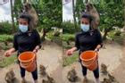 Khỉ bao vây du khách để xin ăn ở Thái Lan