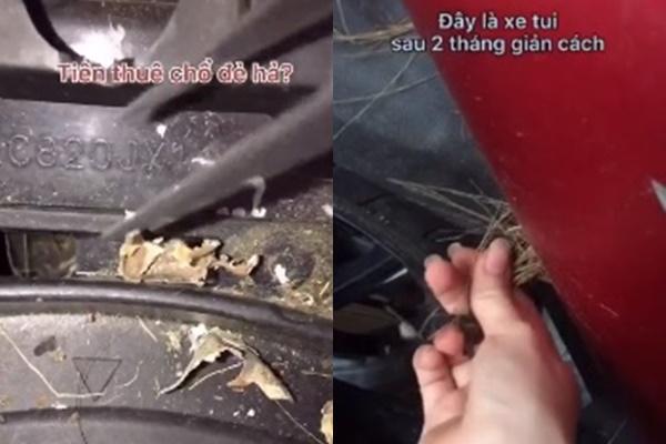 Nghỉ dịch 9 tháng, ngày trở lại phòng nam sinh sốc toàn tập-11