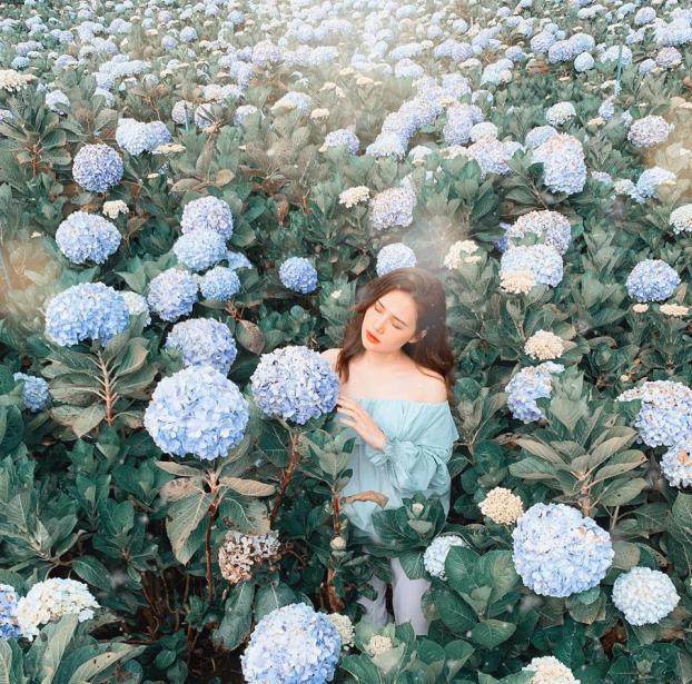 Phanh Lee mặc đẹp nhức nách ở 6 điểm check-in hot nhất Đà Lạt-10