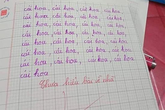 Yêu cầu viết 29 chữ ở bảng chữ cái, nhóc học sinh xử lý khó đỡ