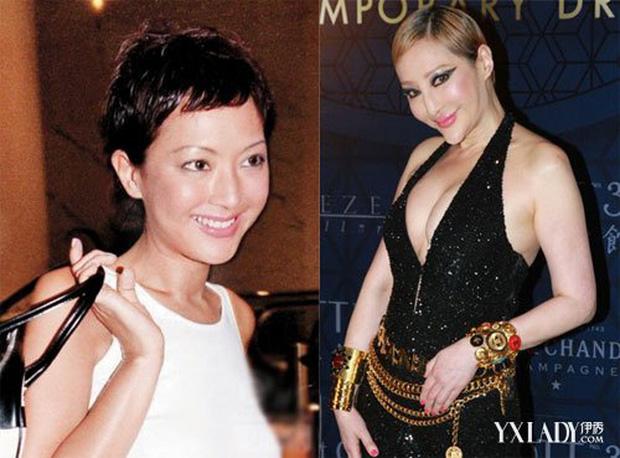 Tiết Chỉ Luân gặp tai nạn, tiền di chúc nghìn tỷ thành chủ đề hot-3