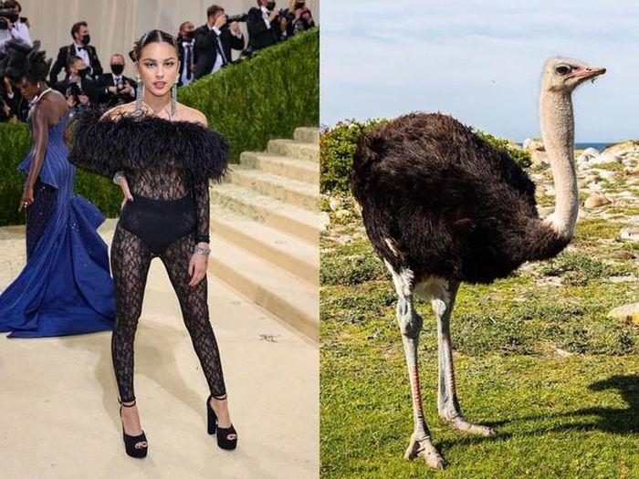 Bộ đồ bóng đêm Kim Kardashian y chang hung thủ truyện Conan-14