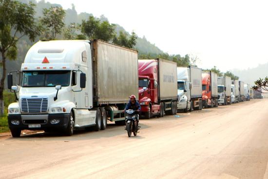 Phát hiện SARS-CoV-2 ở bao bì thanh long, Trung Quốc tạm dừng thông quan