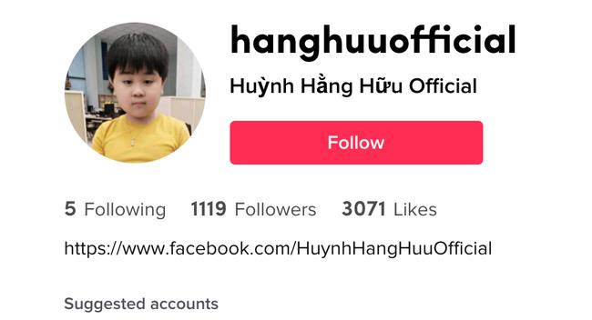 Nữ đại gia nghỉ livestream, con trai chăm chỉ đăng video TikTok-1