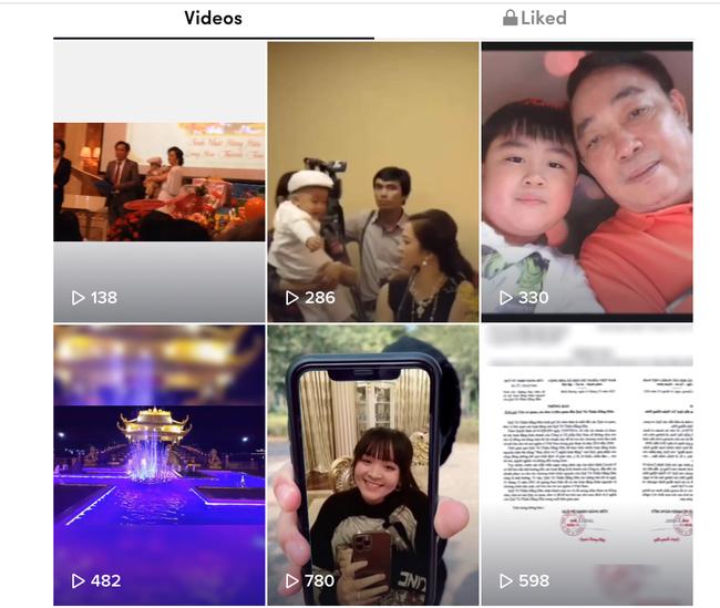 Nữ đại gia nghỉ livestream, con trai chăm chỉ đăng video TikTok-2