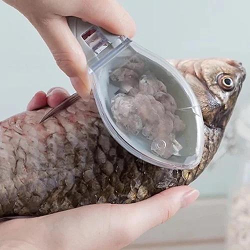 2 bộ phận đắt giá nhất con cá, sánh ngang thuốc bổ cao cấp-4