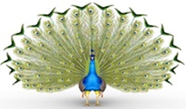 Trắc nhiệm vui tìm hiểu bạn có đặc điểm nào mà ít người biết đến-1