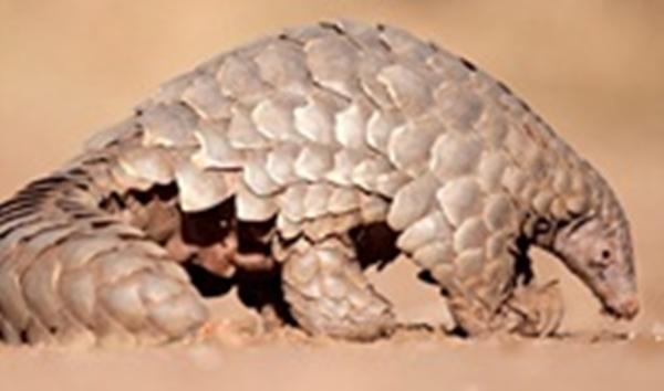 Trắc nhiệm vui tìm hiểu bạn có đặc điểm nào mà ít người biết đến-2