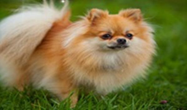 Trắc nhiệm vui tìm hiểu bạn có đặc điểm nào mà ít người biết đến-3