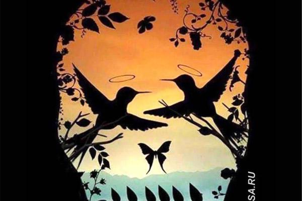 Chọn 1 cái cây, nó sẽ cho biết người bạn yêu trong tương lai là ai-2