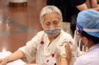 Phê duyệt khẩn cấp vắc xin Covid-19 của Cuba lưu hành tại Việt Nam