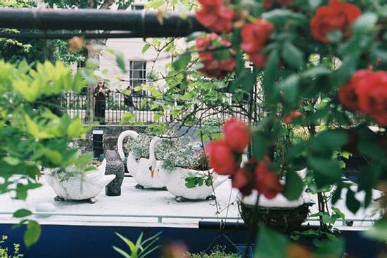 Tử vi 12 cung hoàng đạo Chủ nhật 19/9/2021: Ma Kết hết ế thật ư?