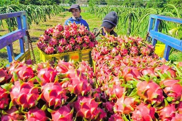 Cảnh sắc Bình Thuận-1