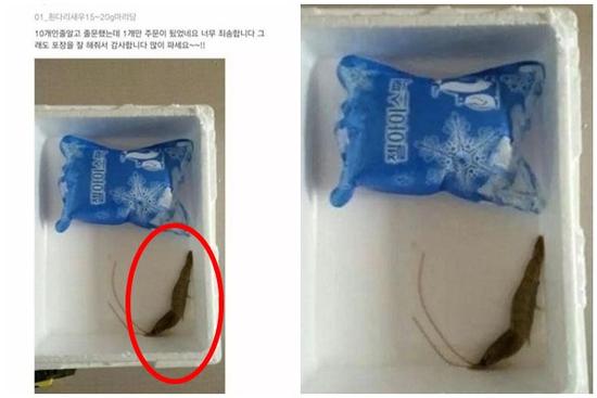 Khách đặt 10 con tôm để rồi sốc nặng khi mở thùng chỉ có 1 con