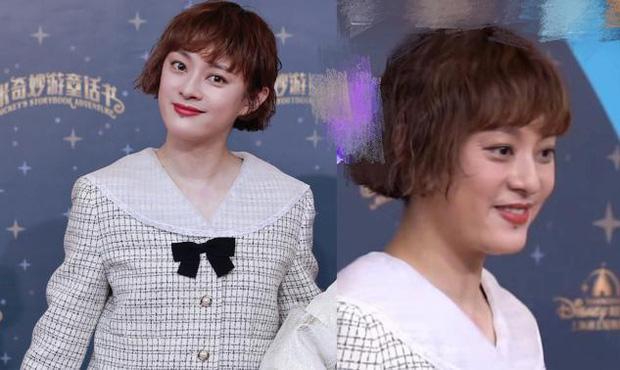 Tôn Lệ mang thai lần 3, vợ chồng Đặng Siêu có thêm long phụng?-1