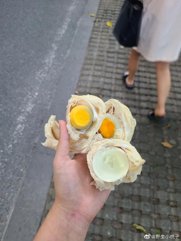 Cô gái sụp đổ khi cắn phải thứ trong bánh bao phiên bản giới hạn-2