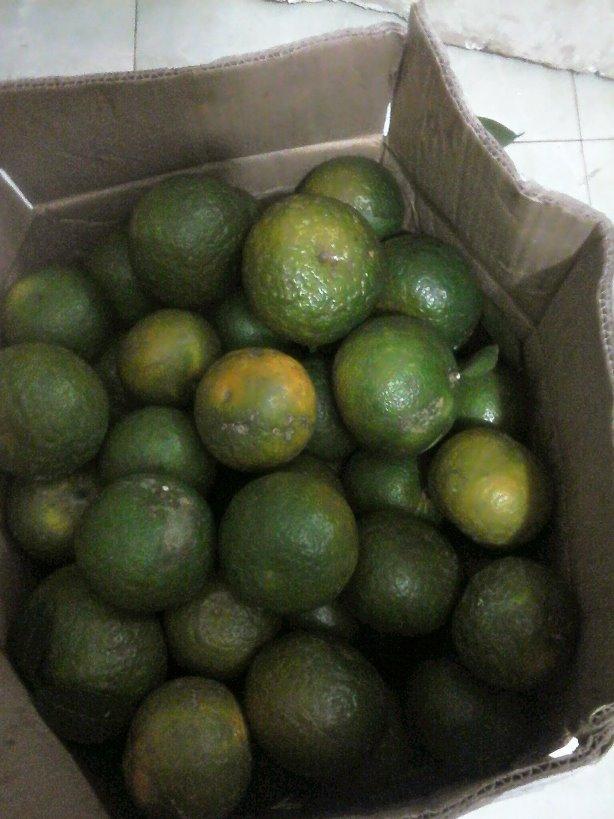 Mẹ chồng dè bỉu thông gia biếu cam rẻ tiền, con dâu trả lời sốc-2